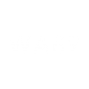wa89适用项目:人造金刚石,奖章,手镯(首饰),玉雕艺术品,珠宝首饰,翡翠